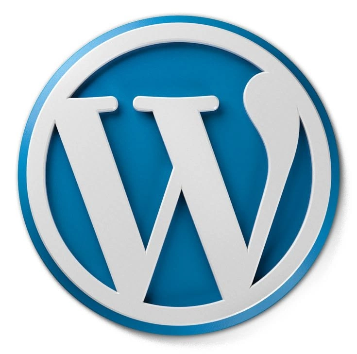 3D WordPress icon representing web development and SEO services by a digital marketing strategist in Kasaragod.